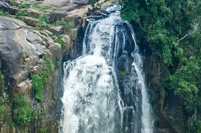Devon Waterfall  | walklankatours.com